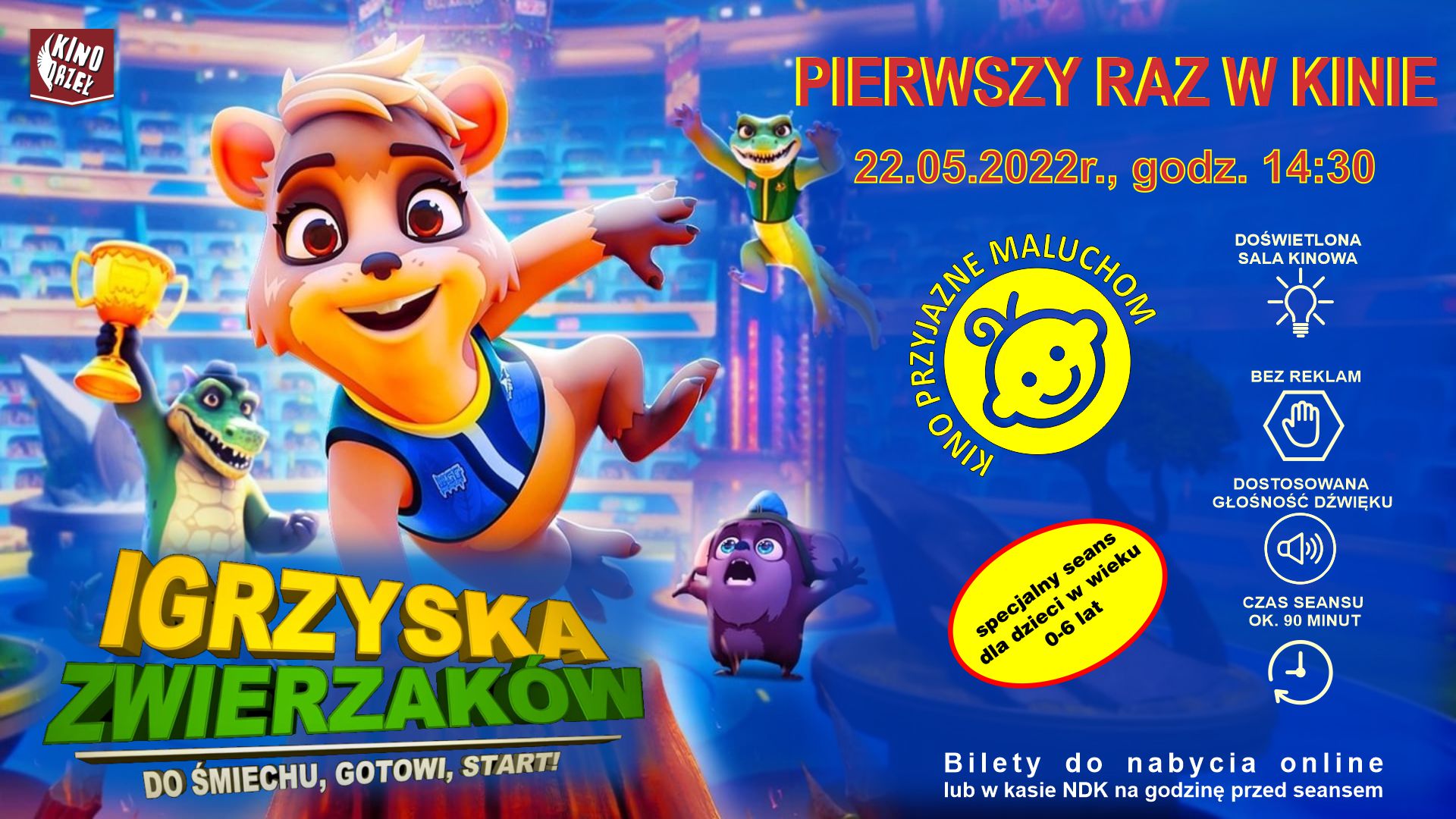 KINO | PIERWSZY RAZ w KINIE z OPTYMISTKĄ DAISY